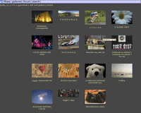 My photography portfolio on Pbase